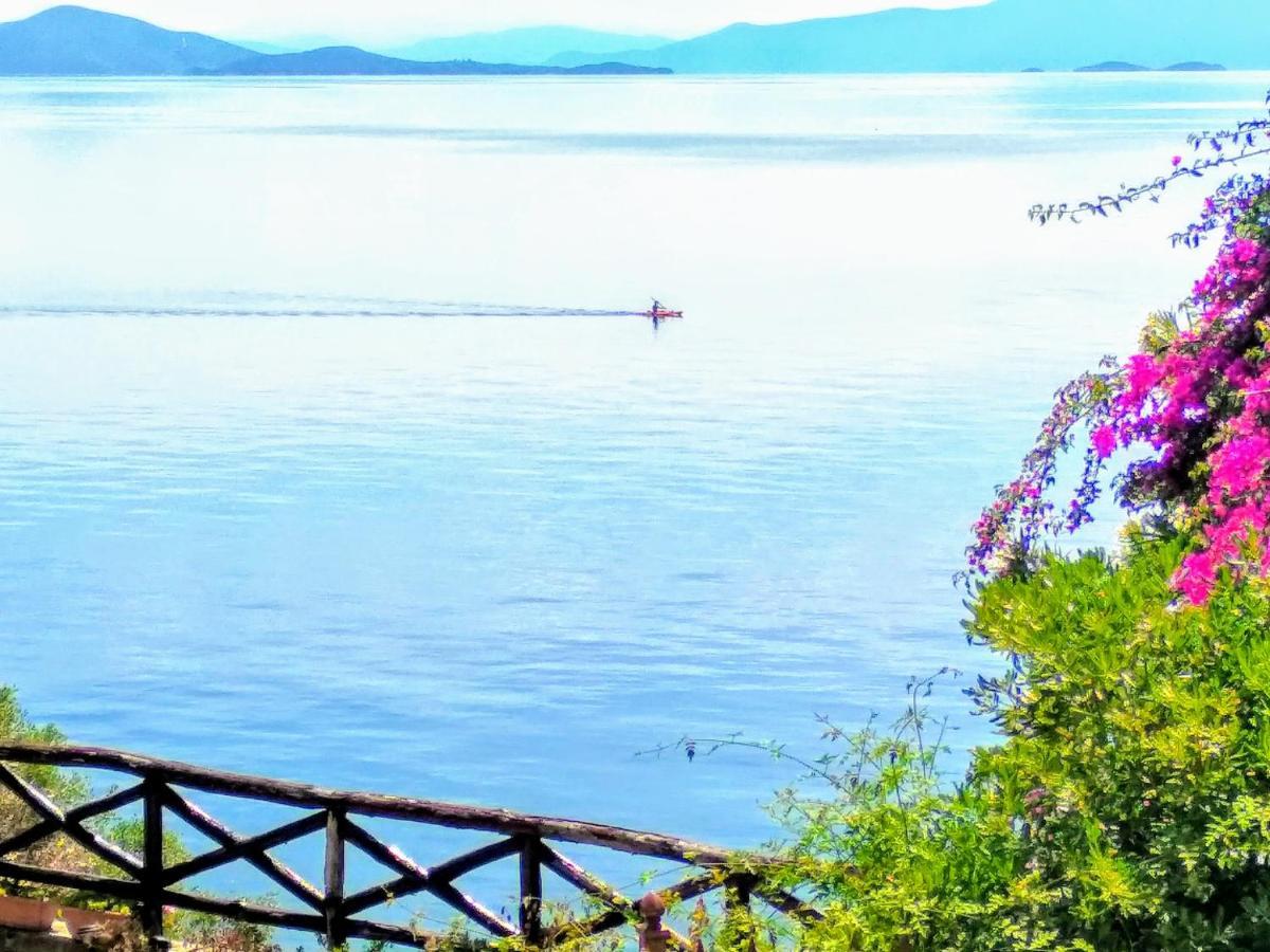 Pelion Seaside Luxury House Διαμέρισμα Άφησσος Εξωτερικό φωτογραφία