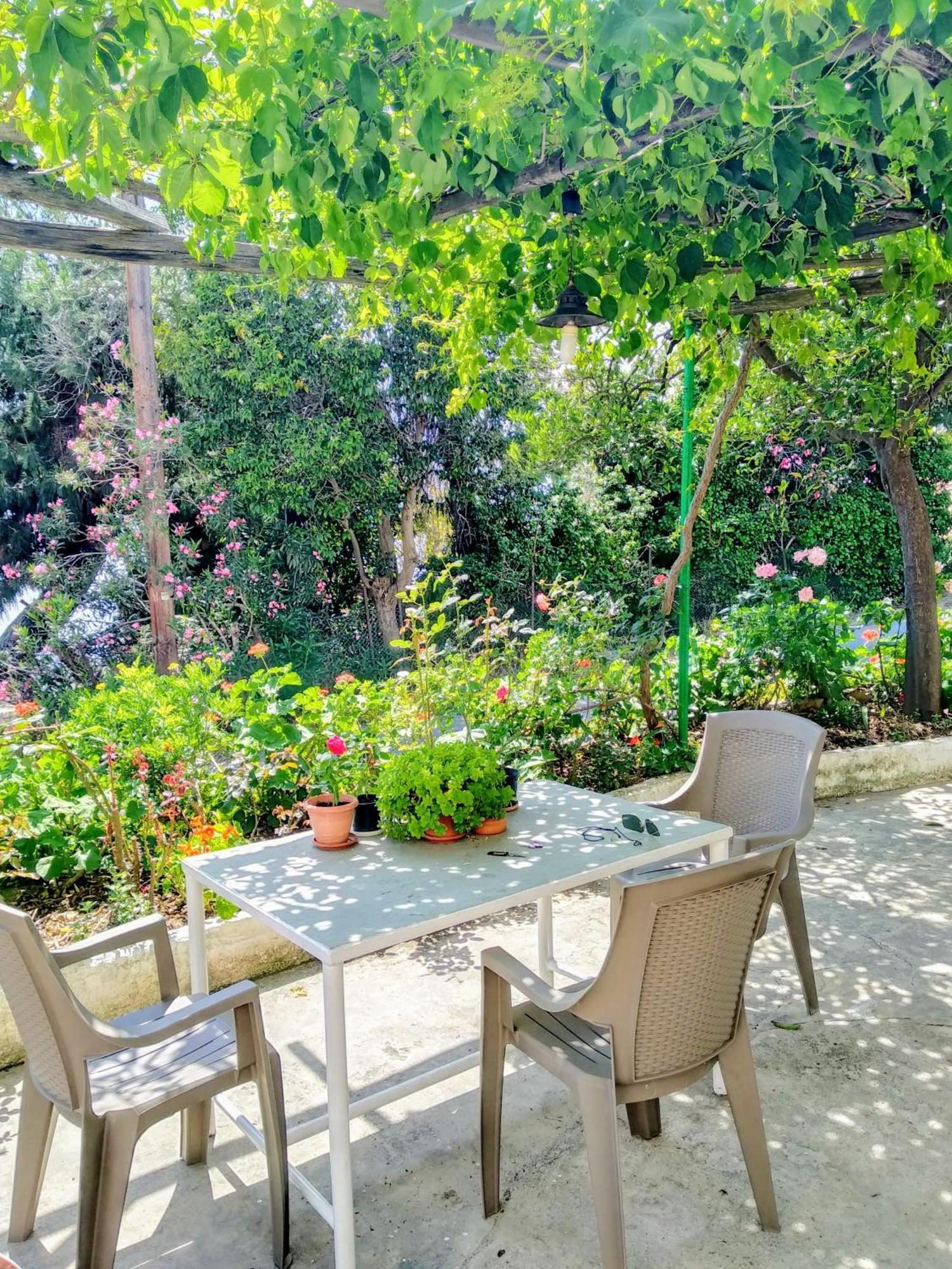 Pelion Seaside Luxury House Διαμέρισμα Άφησσος Εξωτερικό φωτογραφία